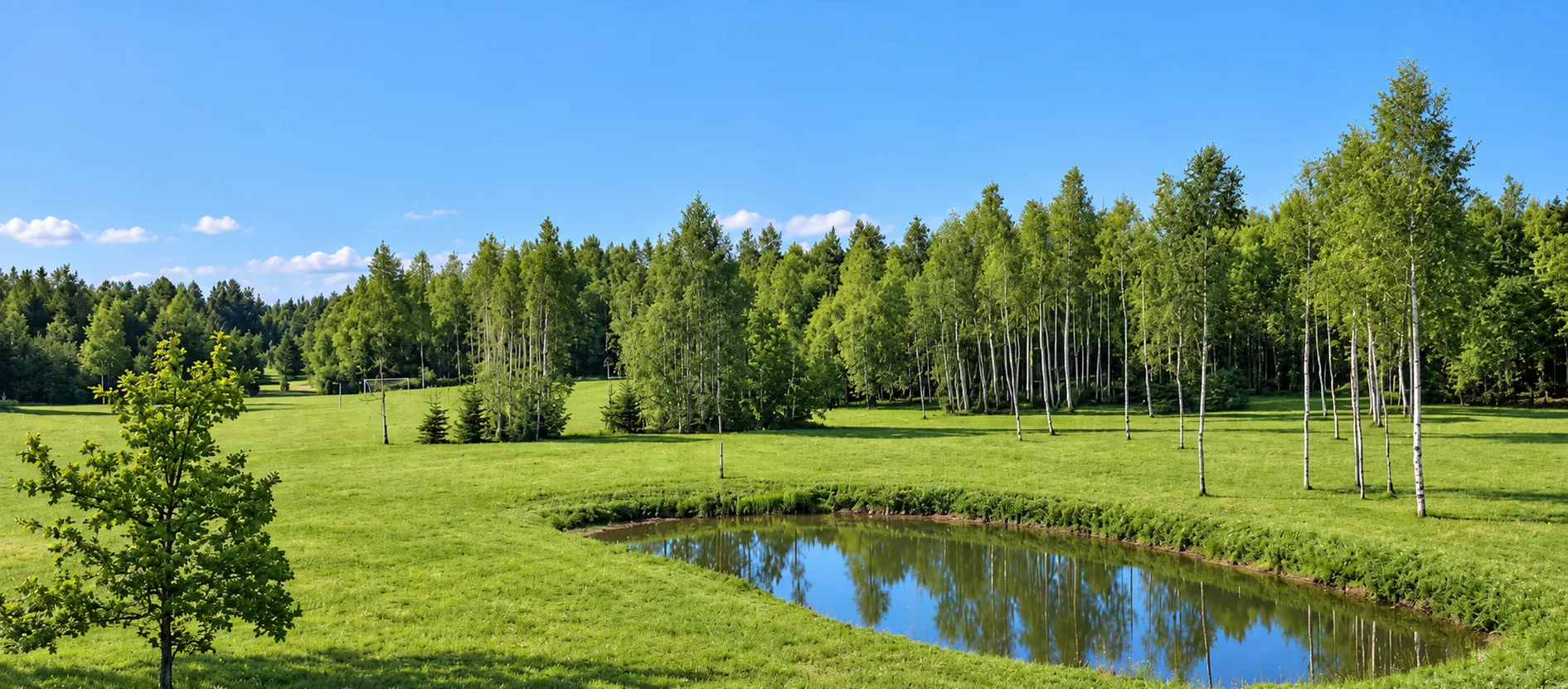 The meadow and the pond on a summer’s day, a football goal and a volleyball post at the edge of the meadow, birches and forest beyond